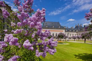 Schloss und Park Pillnitz